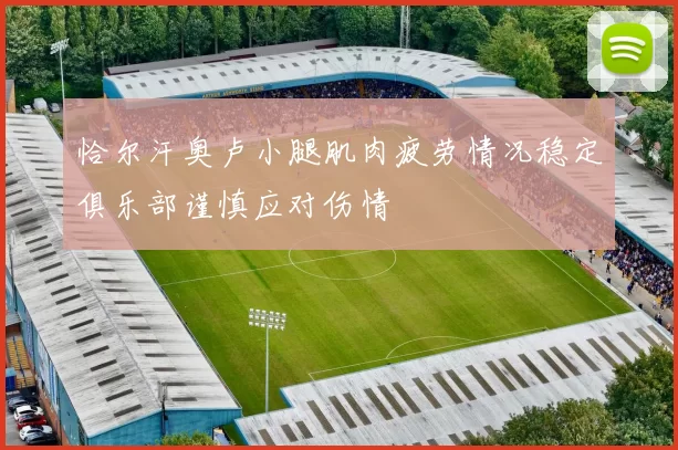 恰尔汗奥卢小腿肌肉疲劳情况稳定俱乐部谨慎应对伤情